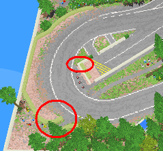 pacific_raceways_grif.png