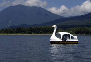 Real Swan Boat.gif